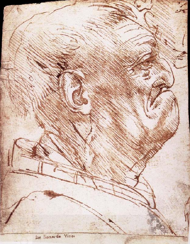 LEONARDO da Vinci Grotesque profile of a man oil painting picture